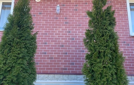 Угол Berg, Рубиновый - 21